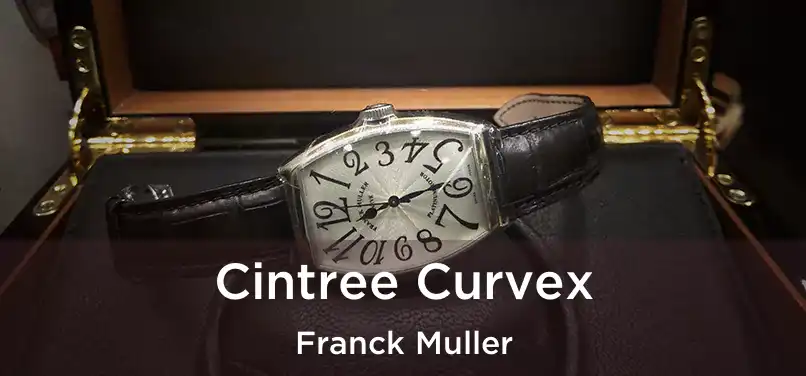  Cintree Curvex Franck Muller